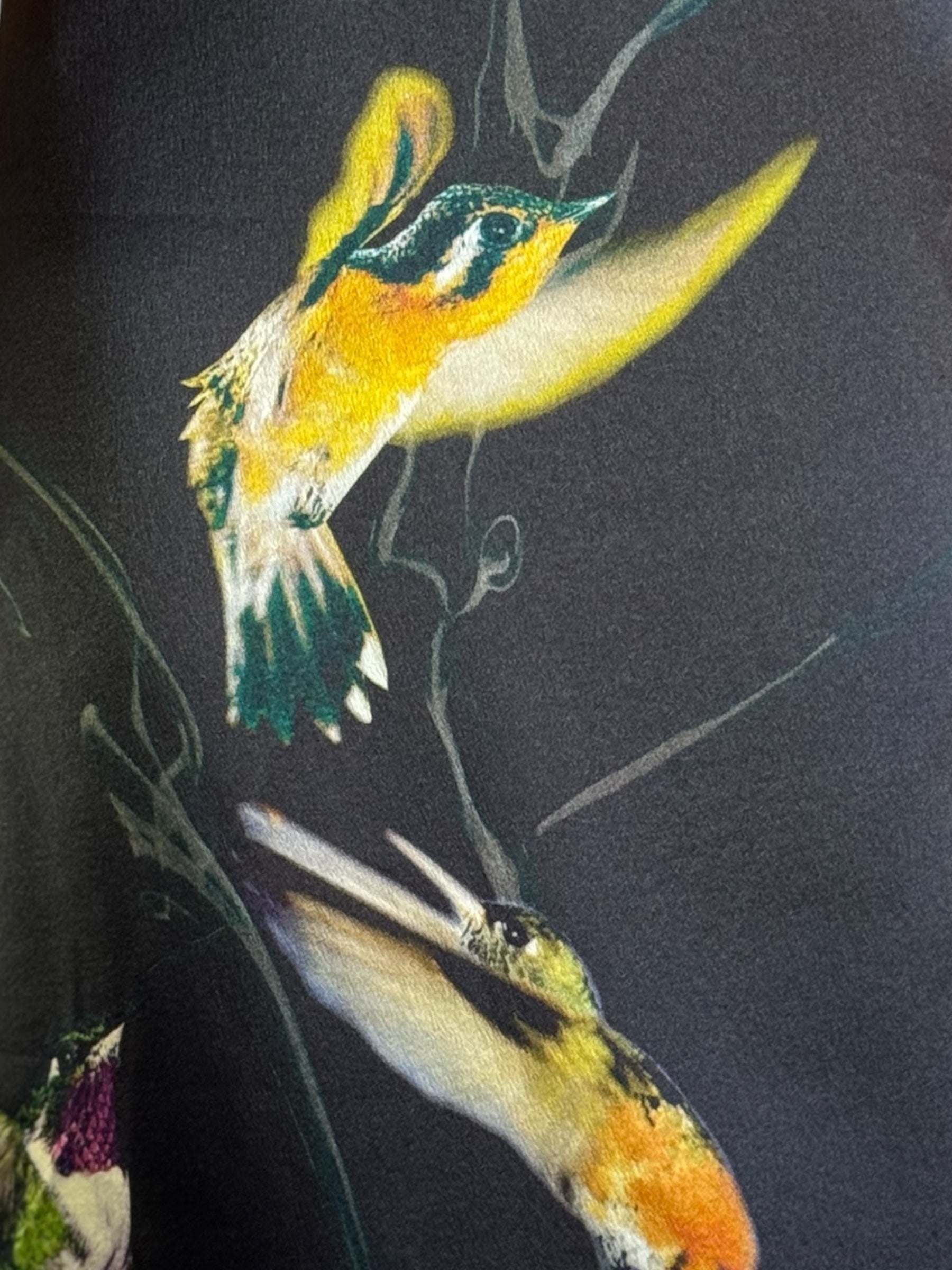Alexander McQueen Silk Hummingbird Dress, 2008
