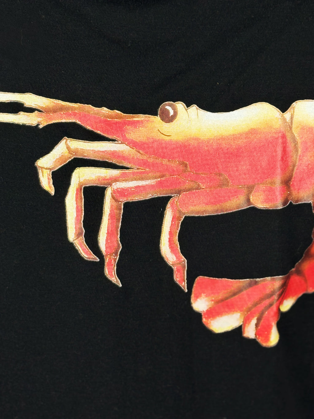 Chloé by Phoebe Philo Shrimp Top, SS 2002