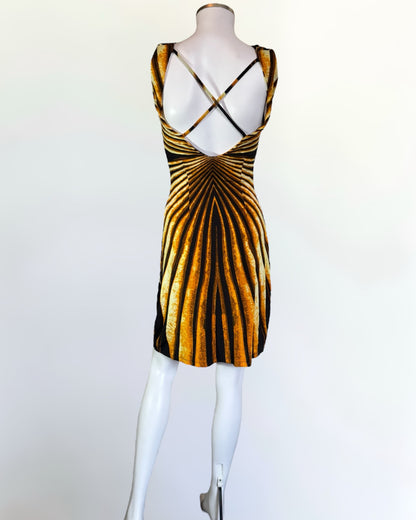 Roberto Cavalli “Ray of Gold” Mini Dress, SS 2007