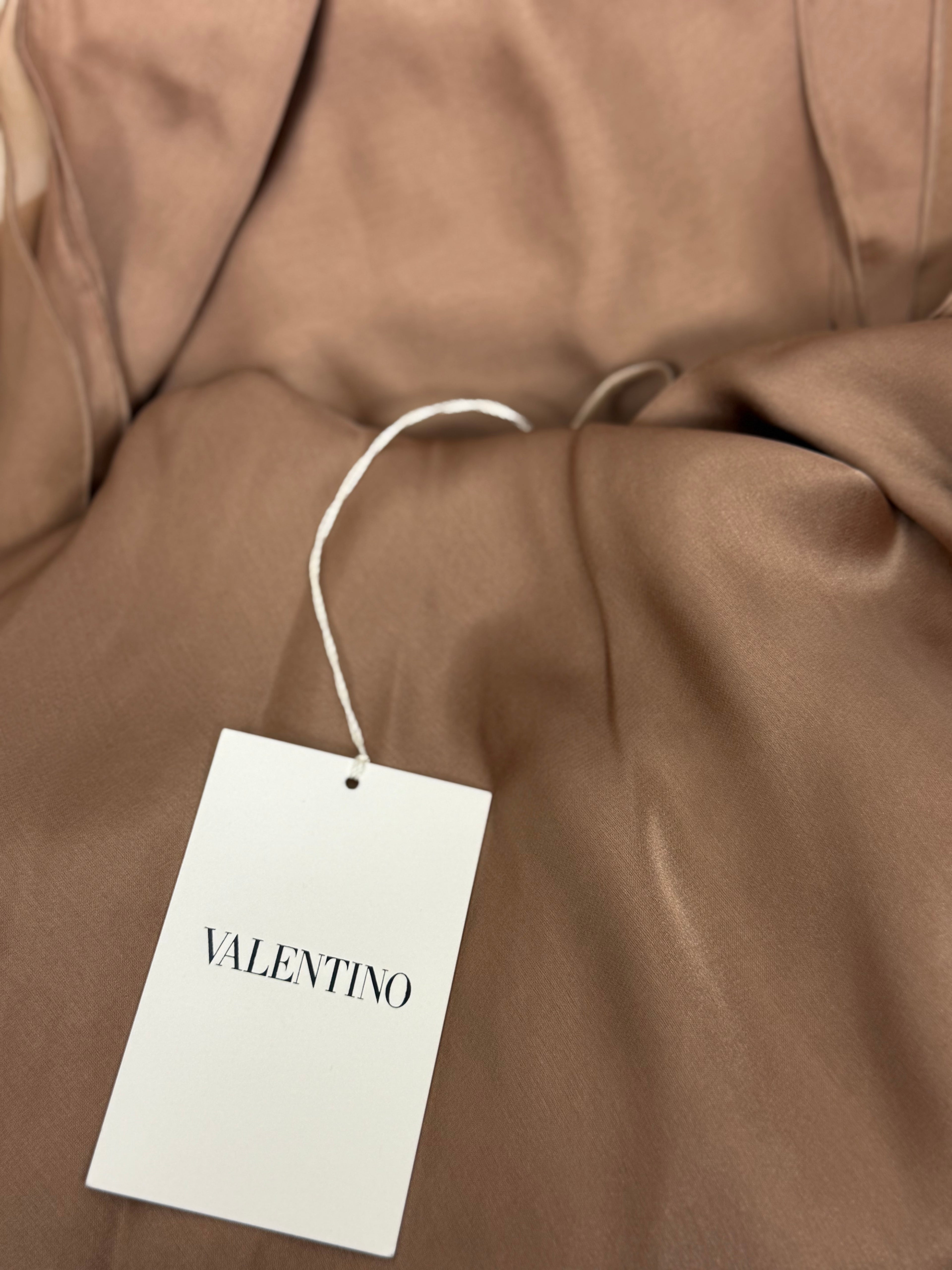 Valentino by Maria Grazia Chiuri and Pierpaolo Piccioli Tulle Dress, SS 2011