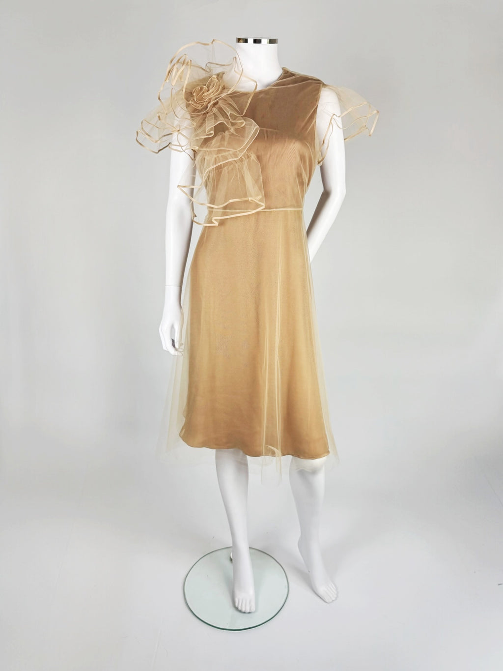 Valentino by Maria Grazia Chiuri and Pierpaolo Piccioli Tulle Dress, SS 2011