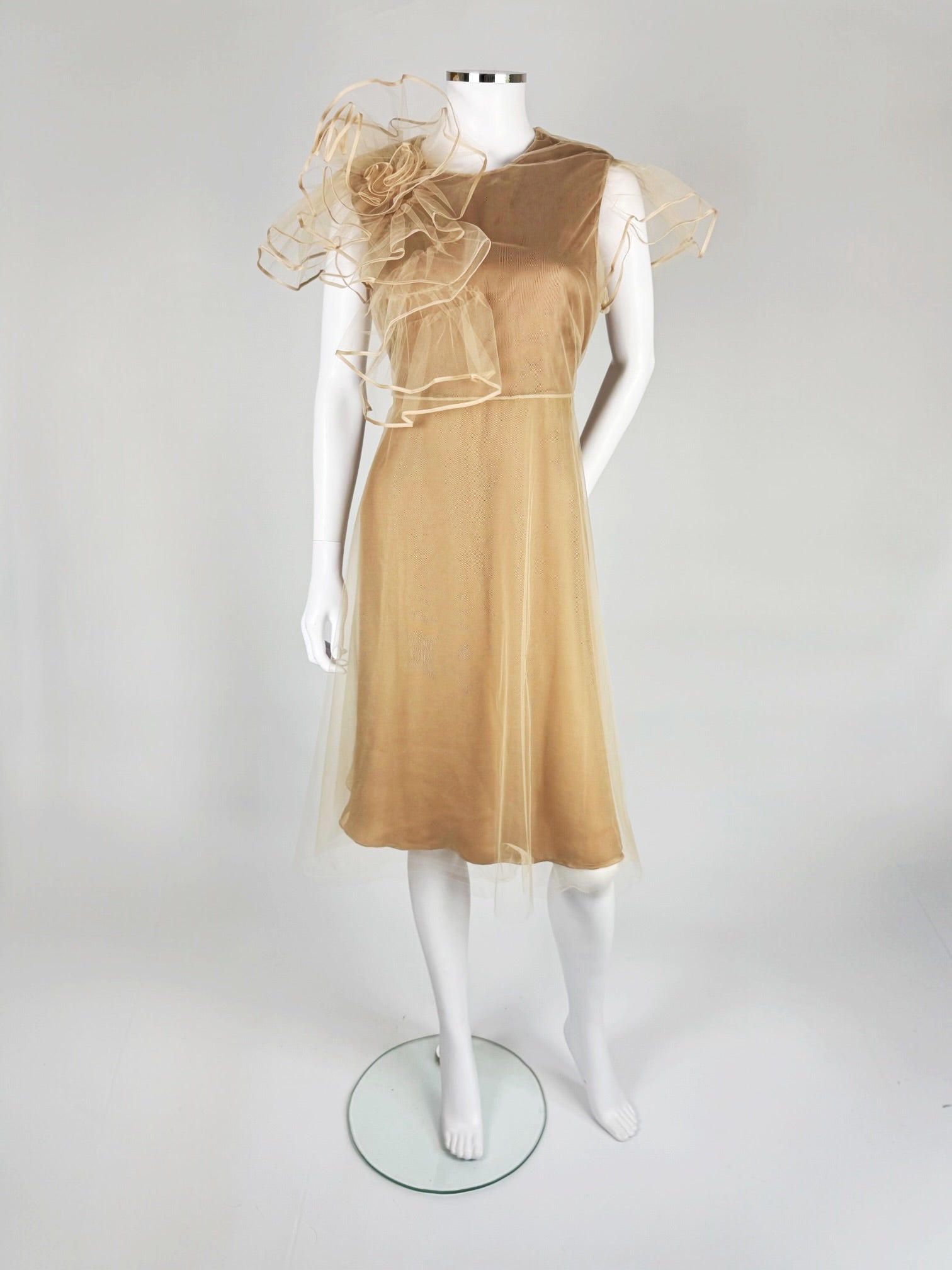 Valentino by Maria Grazia Chiuri and Pierpaolo Piccioli Tulle Dress, SS 2011