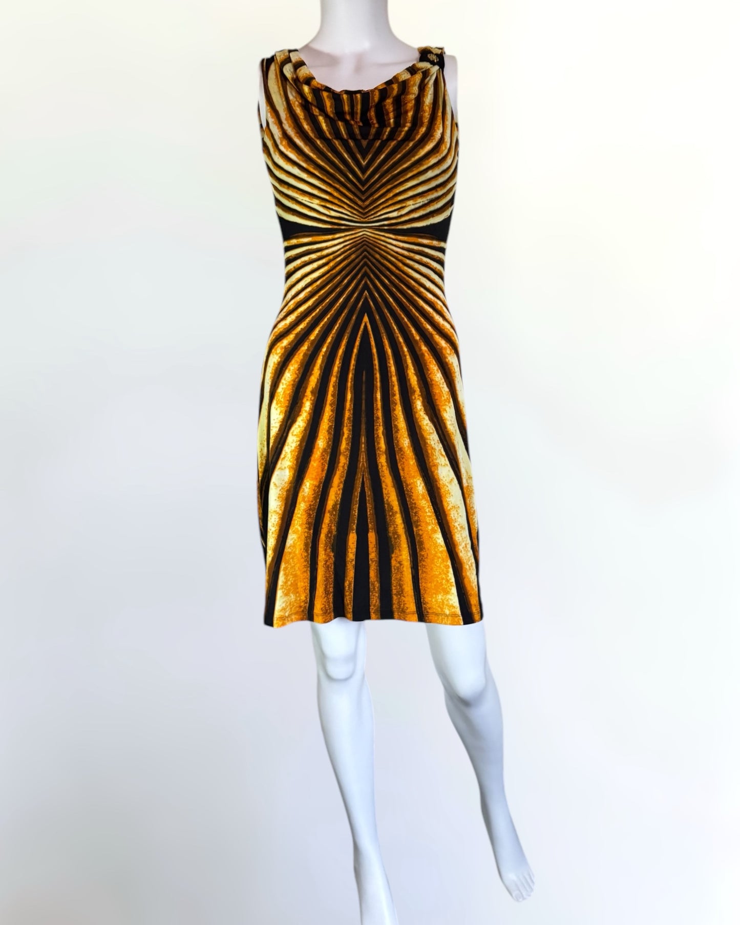 Roberto Cavalli “Ray of Gold” Mini Dress, SS 2007