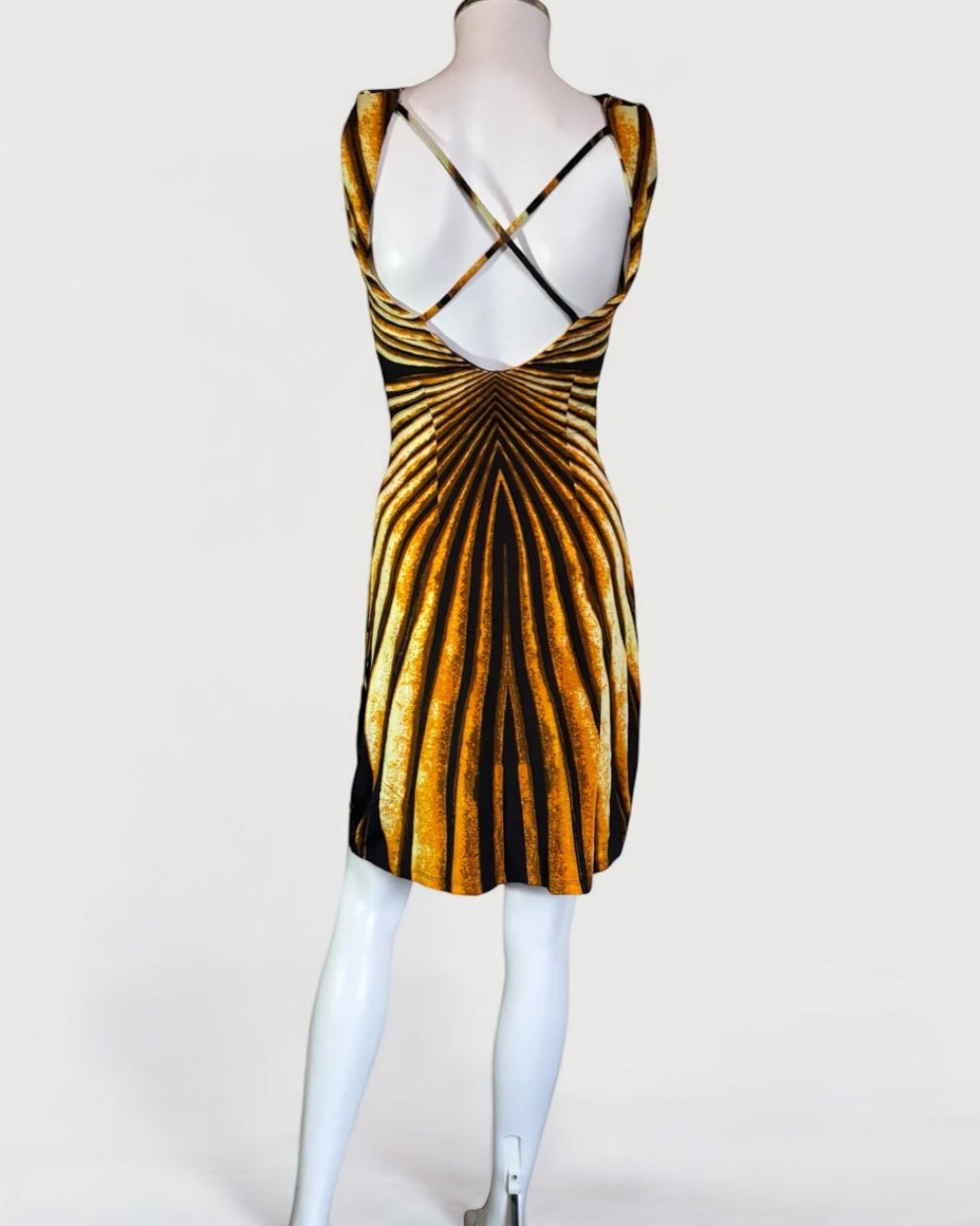 Roberto Cavalli “Ray of Gold” Mini Dress, SS 2007