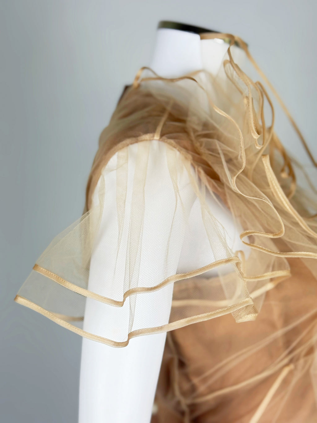 Valentino by Maria Grazia Chiuri and Pierpaolo Piccioli Tulle Dress, SS 2011