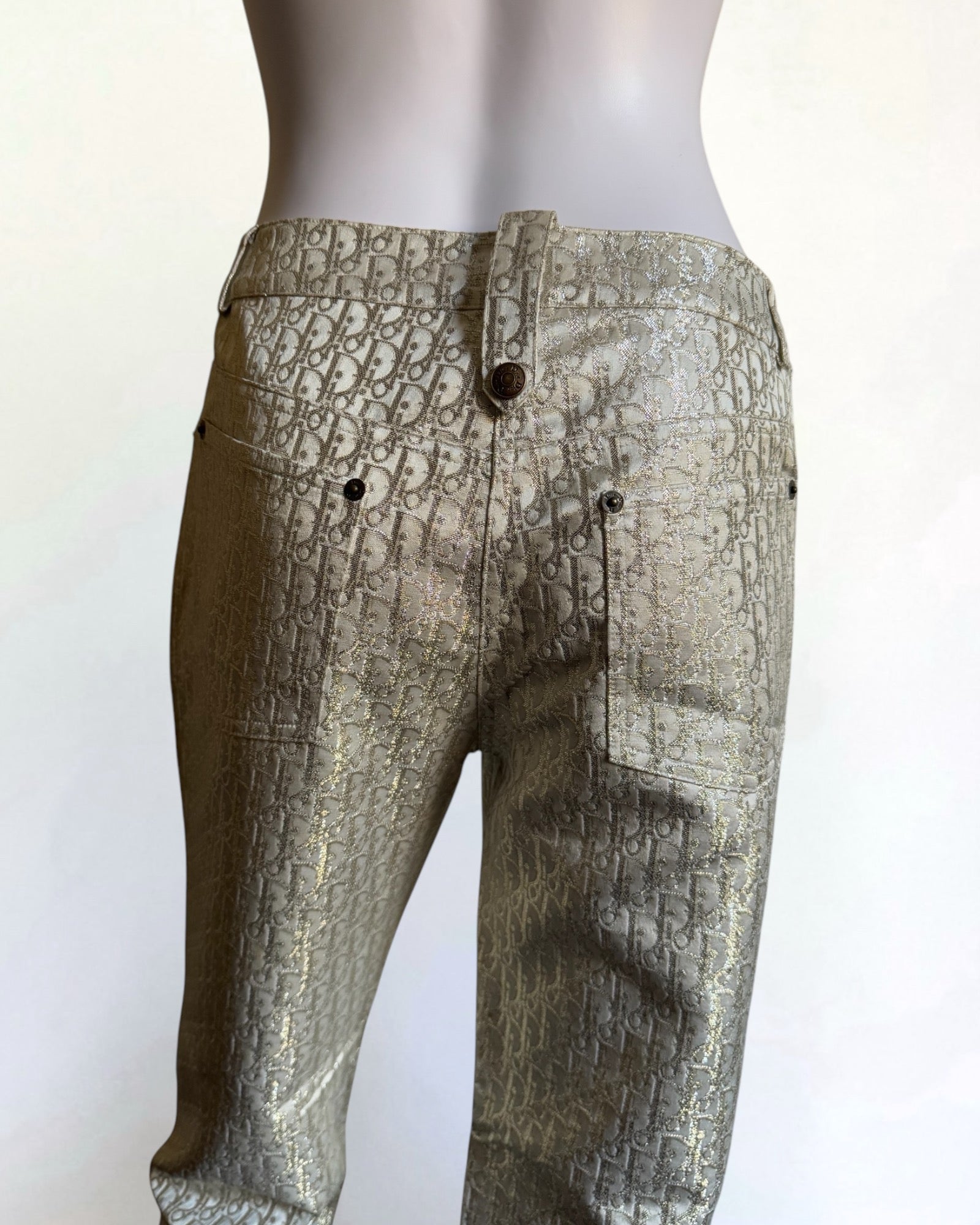 Christian Dior by John Galliano Monogram Metallic Trousers, FW 2004