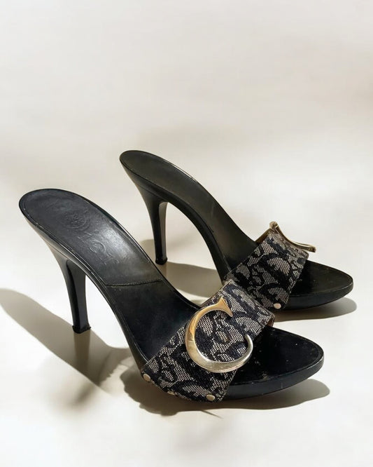 Christian Dior by John Galliano Monogram Trotter Oblique Clogs, 2005